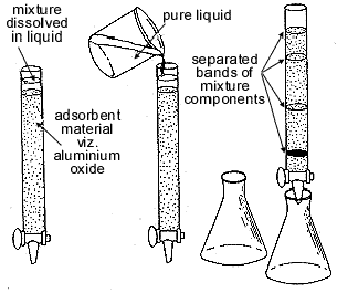 chromatography.png