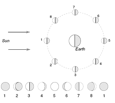 phases-of-moon.gif
